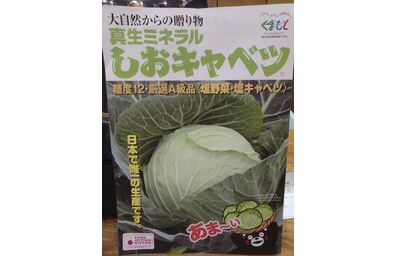 池袋西口焼肉　塩キャベツ